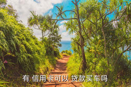 信用卡申请了能贷款吗吗,招商信用卡贷款怎么申请