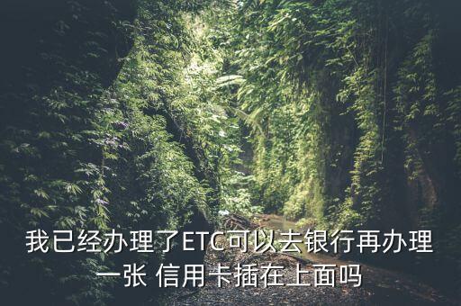我已经办理了ETC可以去银行再办理一张 信用卡插在上面吗