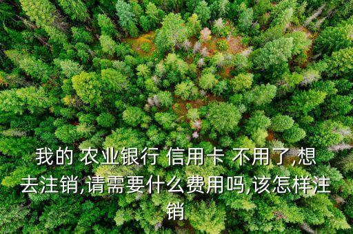 农业银行信用卡不用了