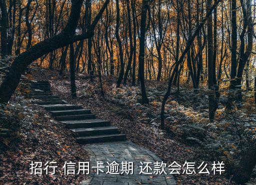 招行 信用卡逾期 还款会怎么样