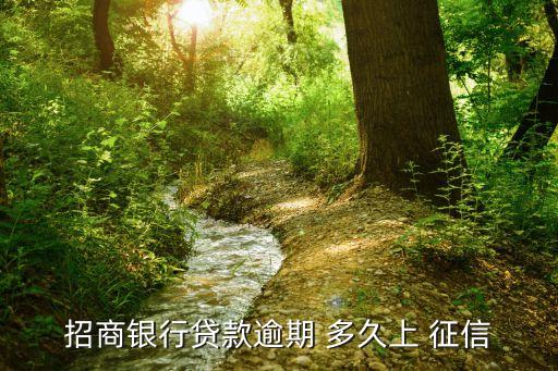 信用卡申请上征信吗要多久