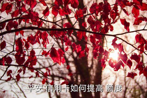  平安 信用卡如何提高 额度