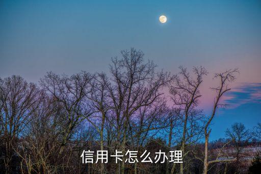  信用卡怎么办理