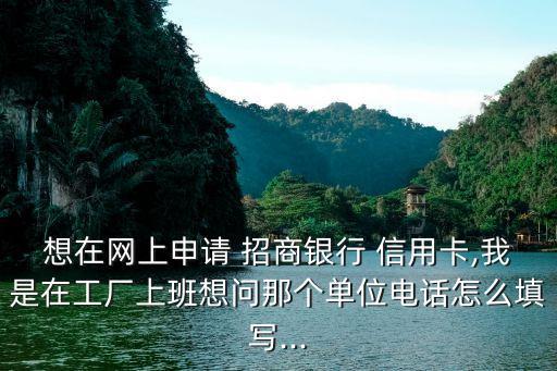 想在网上申请 招商银行 信用卡,我是在工厂上班想问那个单位电话怎么填写...
