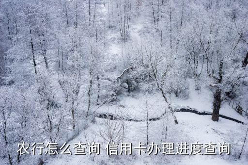 农行怎么查询 信用卡办理进度查询