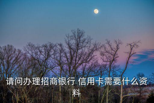 请问办理招商银行 信用卡需要什么资料