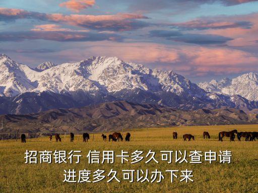  招商银行 信用卡多久可以查申请 进度多久可以办下来