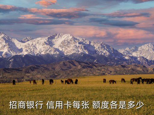 招商银行 信用卡每张 额度各是多少
