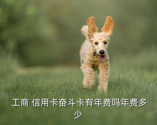 工商银行信用卡新卡权益