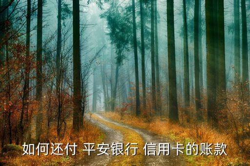 平安信用卡借钱怎么还款