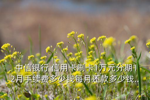  中信银行 信用卡刷卡1万元分期12月手续费多少钱每月还款多少钱...