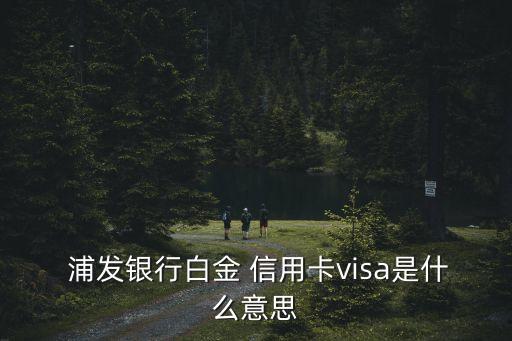  浦发银行白金 信用卡visa是什么意思