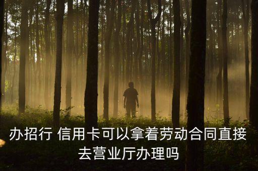 办招行 信用卡可以拿着劳动合同直接去营业厅办理吗