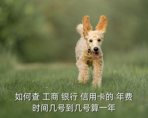 如何查 工商 银行 信用卡的 年费时间几号到几号算一年