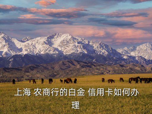 上海农商信用卡好不好申请,农商银行申请信用卡几天可下