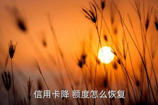  信用卡降 额度怎么恢复