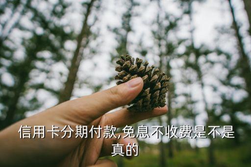  信用卡分期付款,免息不收费是不是真的