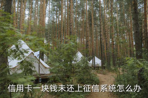 信用卡欠1分钱逾期,欠信用卡逾期了自救的办法