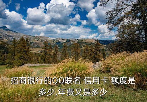 招商银行的QQ联名 信用卡 额度是多少,年费又是多少