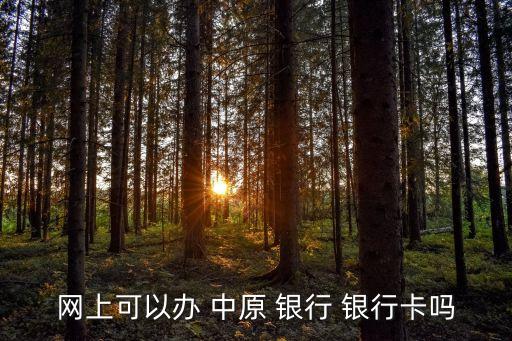 芒山中原银行信用卡办理,中原银行信用卡只能在河南办理吗