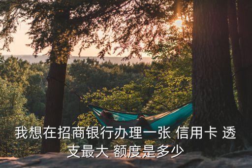我想在招商银行办理一张 信用卡 透支最大 额度是多少