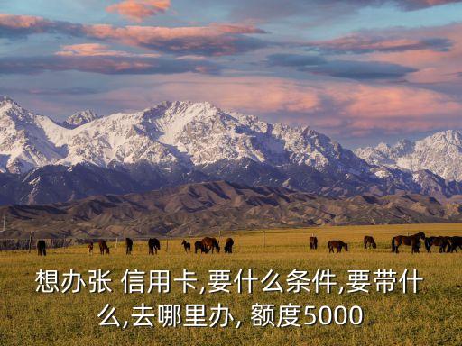 想办张 信用卡,要什么条件,要带什么,去哪里办, 额度5000