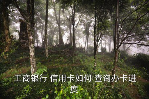 怎么查询工商申请的信用卡,工商信用卡申请一般多久出结果