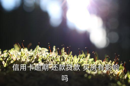 信用卡逾期 还款贷款 买房有影响吗