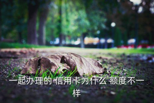 一起办理的 信用卡为什么 额度不一样