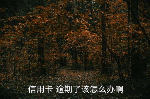  信用卡 逾期了该怎么办啊