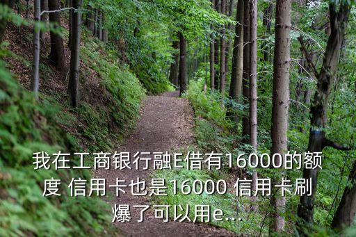 我在工商银行融E借有16000的额度 信用卡也是16000 信用卡刷爆了可以用e...