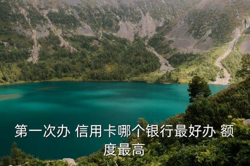 第一次办 信用卡哪个银行最好办 额度最高