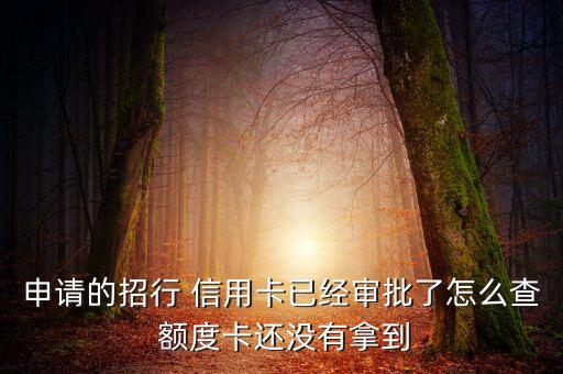 申请的招行 信用卡已经审批了怎么查 额度卡还没有拿到