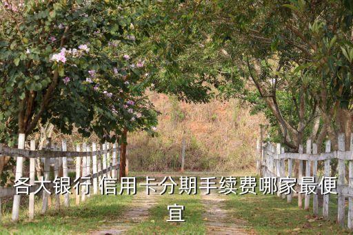 各大银行 信用卡分期手续费哪家最便宜