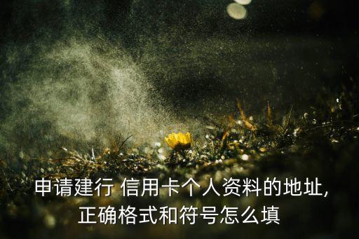  申请建行 信用卡个人资料的地址,正确格式和符号怎么填