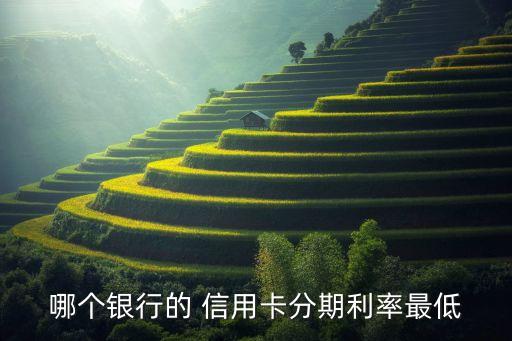 哪个银行的 信用卡分期利率最低