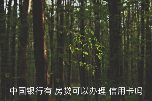 中国银行有 房贷可以办理 信用卡吗