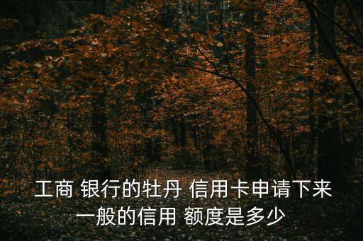  工商 银行的牡丹 信用卡申请下来一般的信用 额度是多少