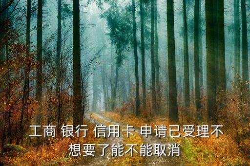  工商 银行 信用卡 申请已受理不想要了能不能取消