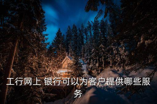 工行网上 银行可以为客户提供哪些服务