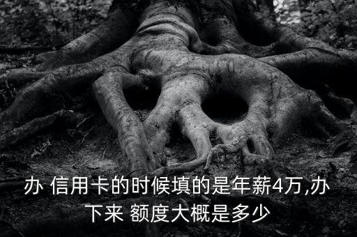 办 信用卡的时候填的是年薪4万,办下来 额度大概是多少