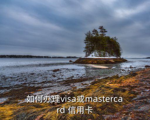 如何办理visa或mastercard 信用卡