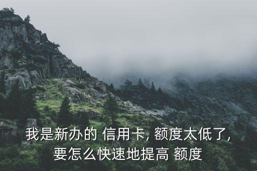 我是新办的 信用卡, 额度太低了,要怎么快速地提高 额度