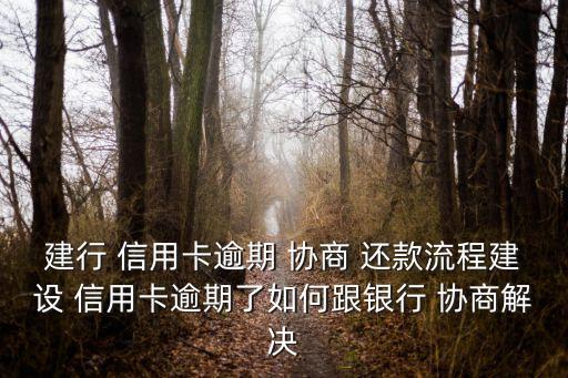 建行 信用卡逾期 协商 还款流程建设 信用卡逾期了如何跟银行 协商解决