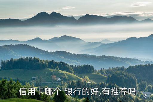  信用卡哪个 银行的好,有推荐吗