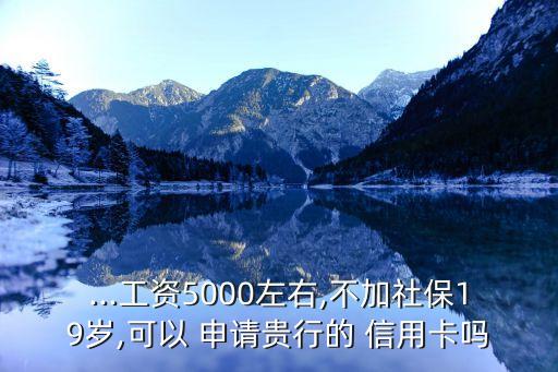 ...工资5000左右,不加社保19岁,可以 申请贵行的 信用卡吗