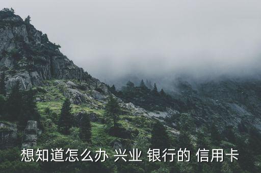 想知道怎么办 兴业 银行的 信用卡