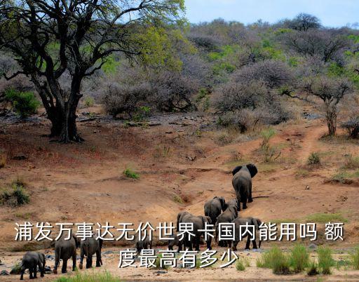 浦发万事达无价世界卡国内能用吗 额度最高有多少