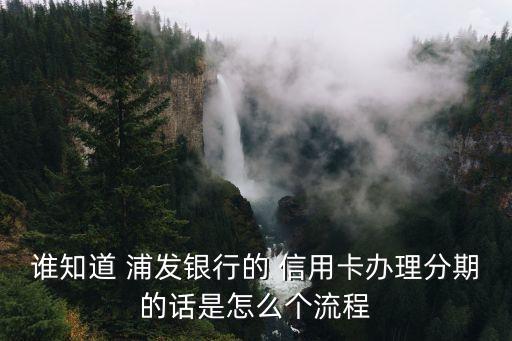 浦发信用卡消费分期付是什么,浦发消费分期付卡和信用卡的区别