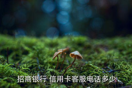 招商银行信用卡中心那里有,4007595555是招商银行信用卡吗